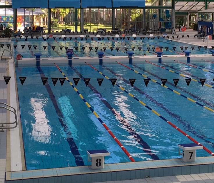 Swimming Pool flags